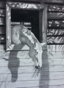 Retirement of Mr. Ed — pencil on paper
