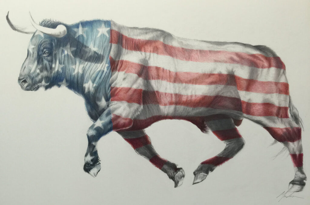 American Bull — pencil on paper