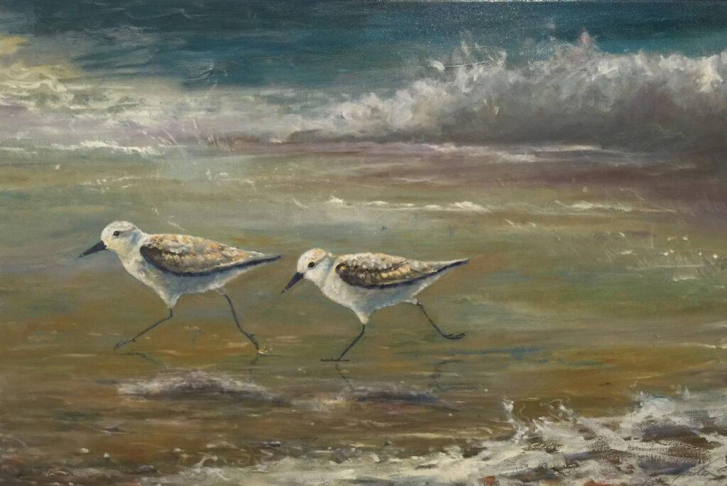 Sandpiper — oil on canvas