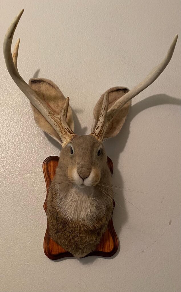Jackalope — needlefelted wool